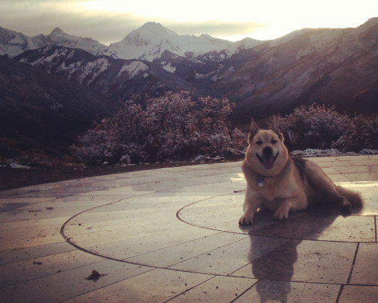 The Upper Valley’s Most Insta-Worthy Spots