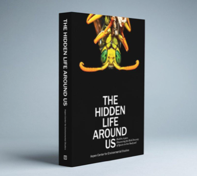 Small Local Business Holiday Gift Ideas 2020