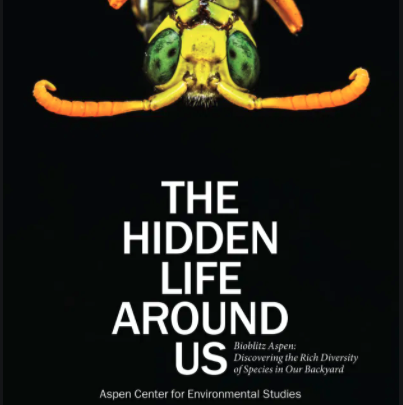 ACES – Aspen Times Magazine